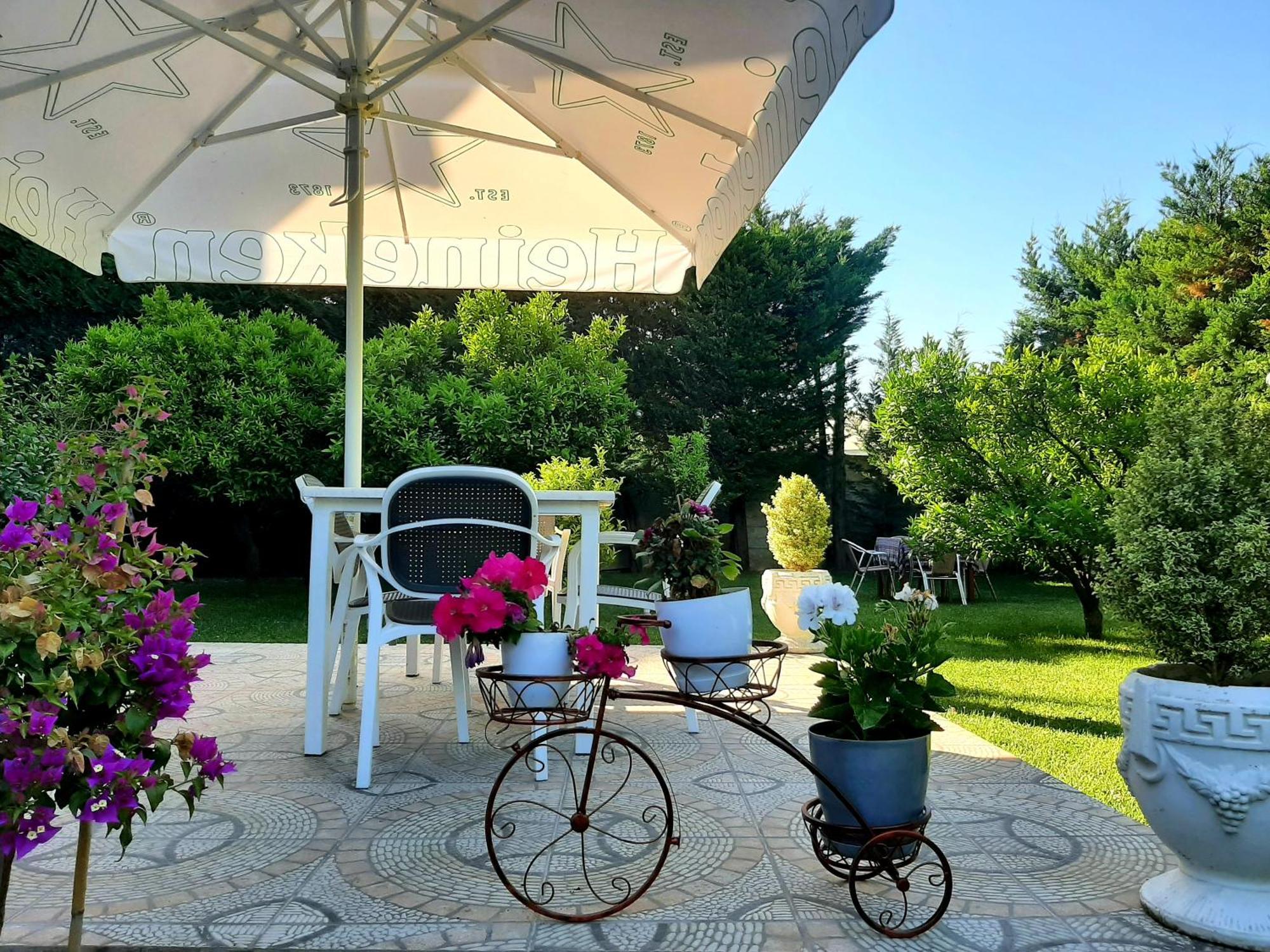 Hotel Vila Arbri Berat Exterior photo